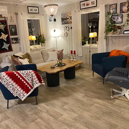 Hus Til Leie Under Vm 2025 Apartment Ler